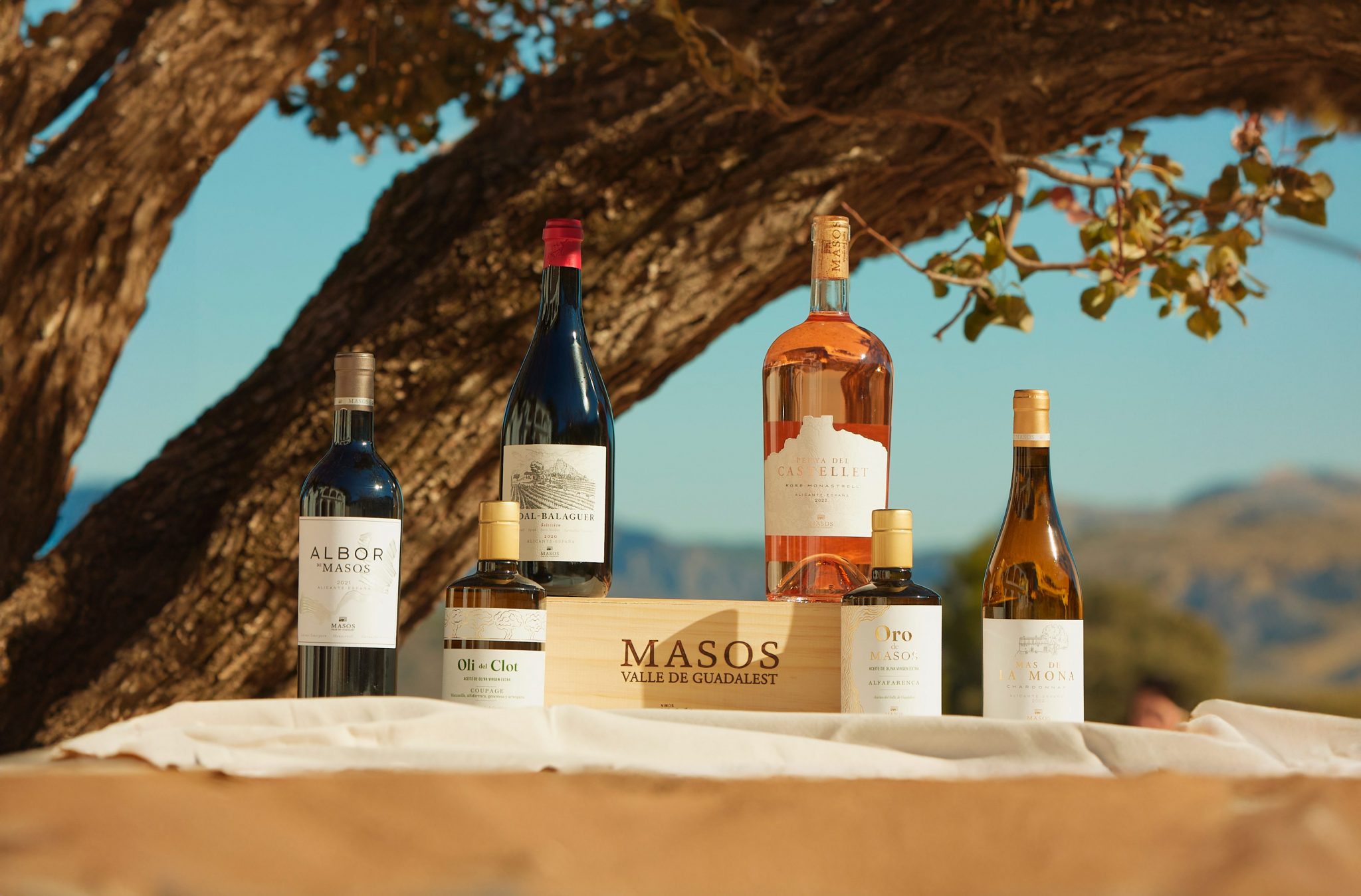 Masos, la bodega familiar con más de 800 años de tradición, recupera la esencia de sus vinos