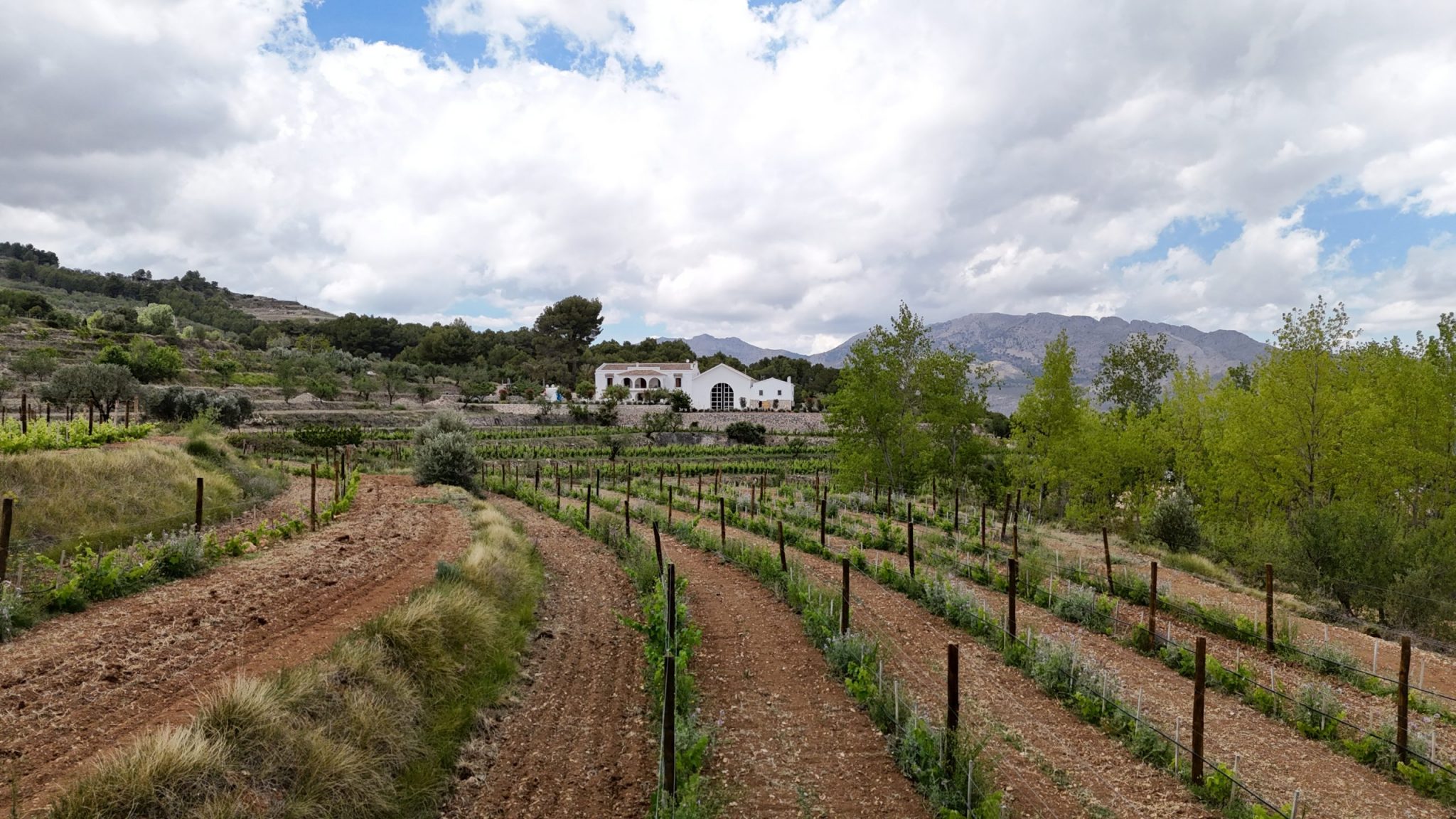Nueva bodega Mas de Ondara: una fusión de tradición y modernidad en el Valle de Guadalest