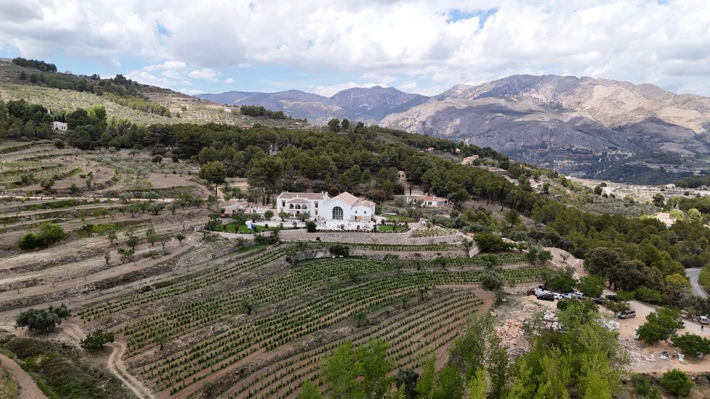 Bodegas Masos devuelve al interior de la Marina Baixa la secular tradición viticultora
