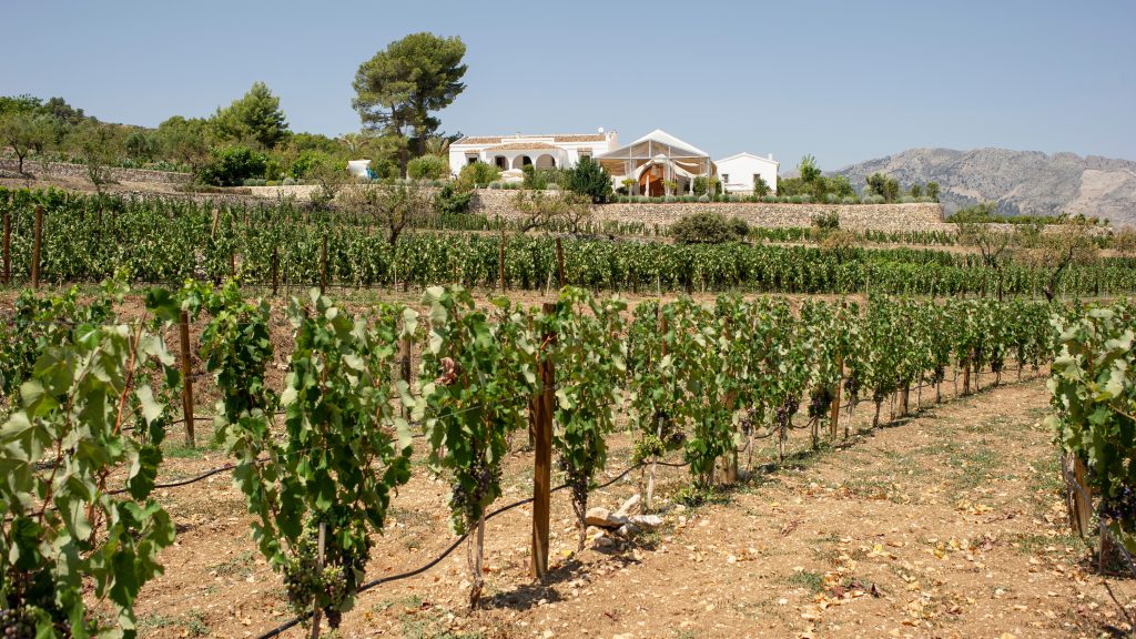 MASOS inaugura su bodega en una masía centenaria en el privilegiado Valle de Guadalest