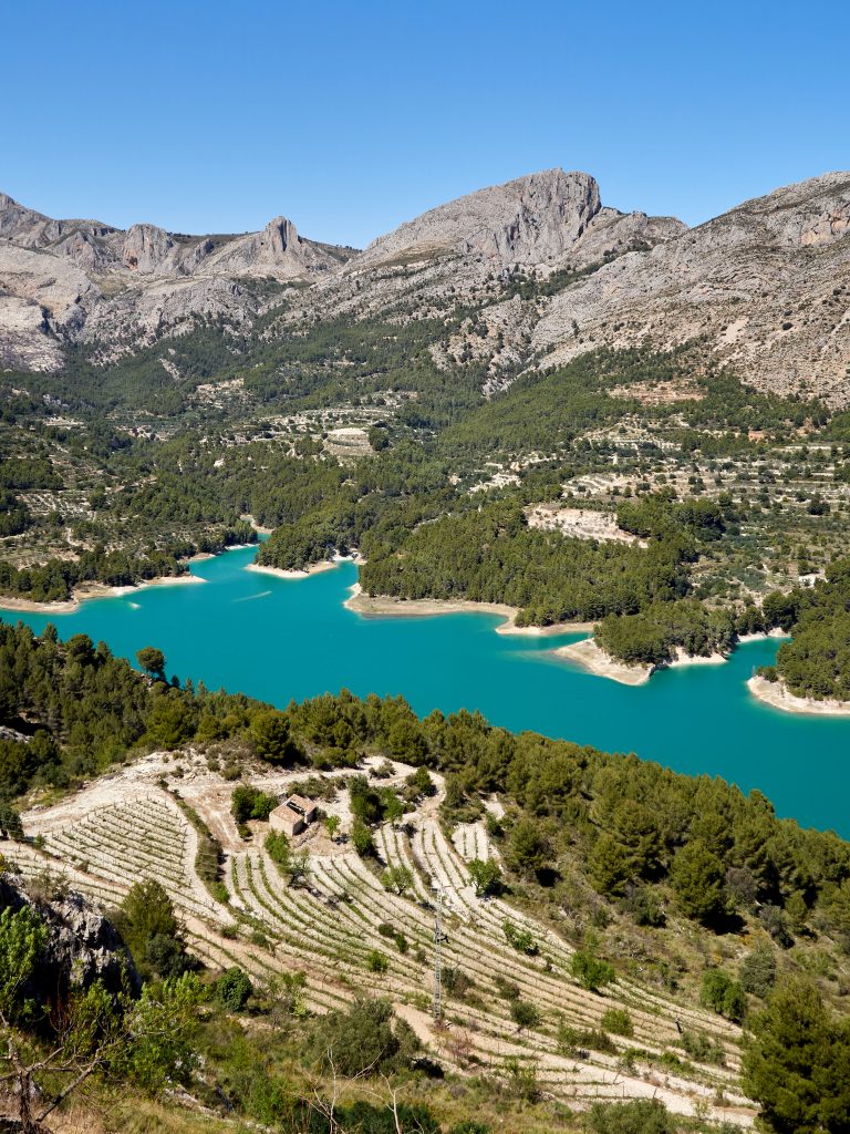 Embalse de Guadalest entre viñedos, pinares y montañas