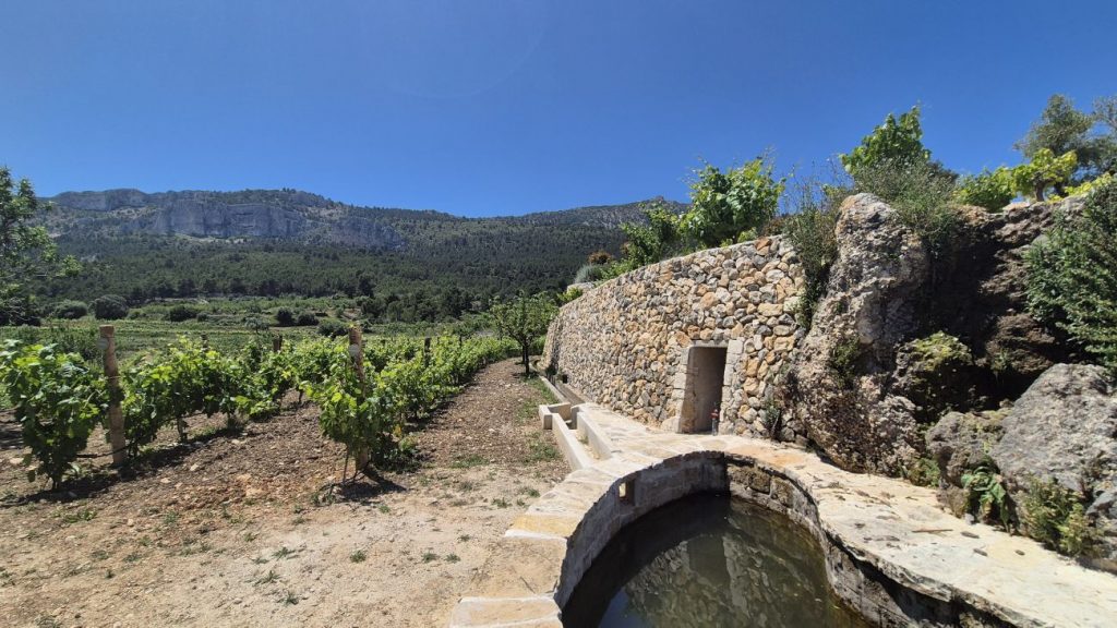 En el corazón de la historia: la trayectoria y el alma de Bodega Masos